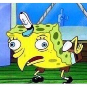 Meet your Posher, Dakota